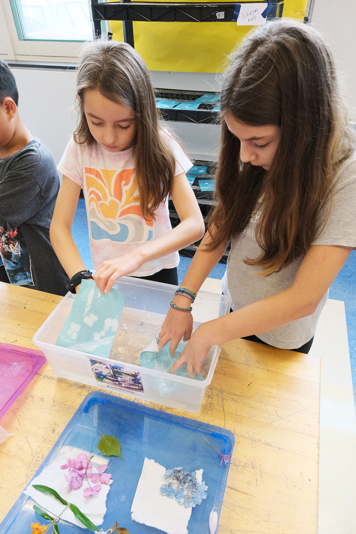 Sandwich Summer Programs
